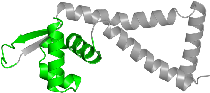 Auger (800x800), Png Download