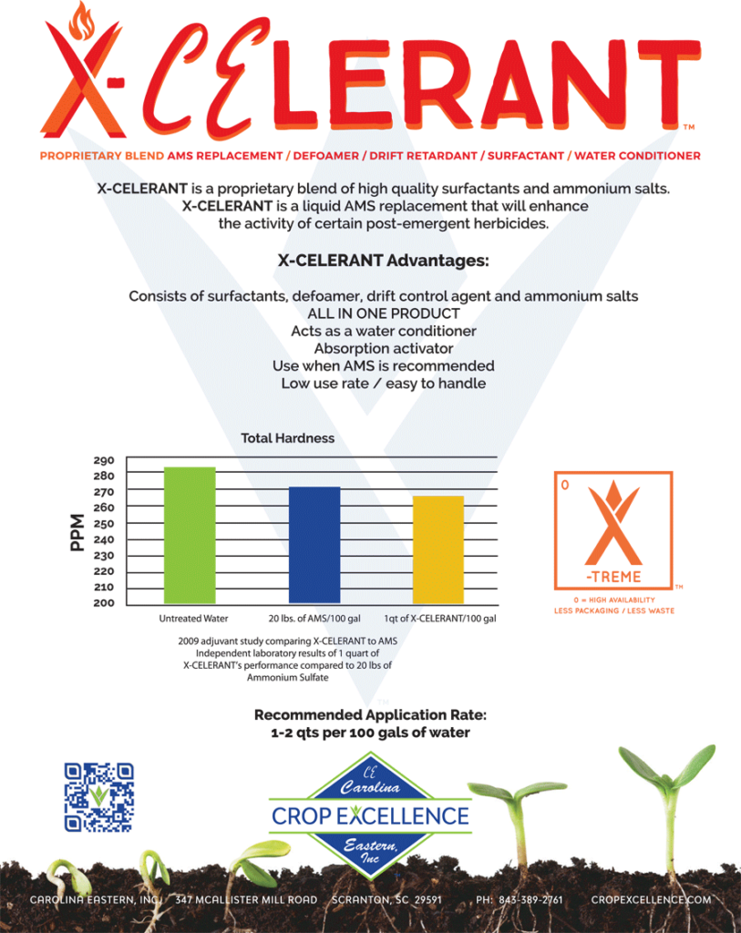 Xcelerant-813x1024 - Flyer (813x1024), Png Download