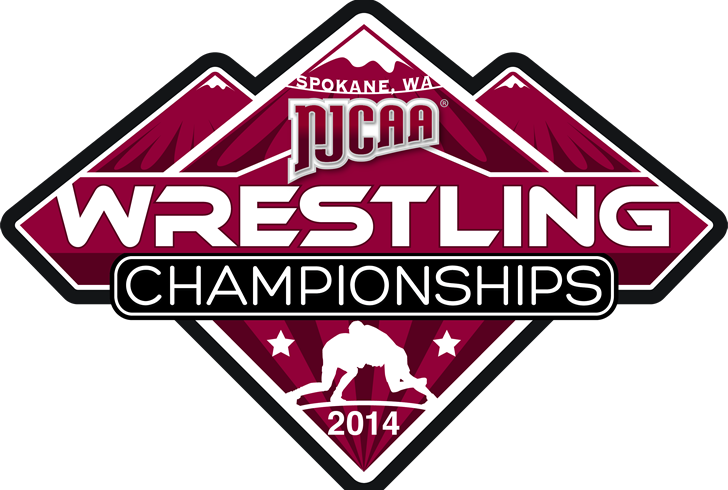 Wrestling Ranked - Professional Wrestling (728x490), Png Download