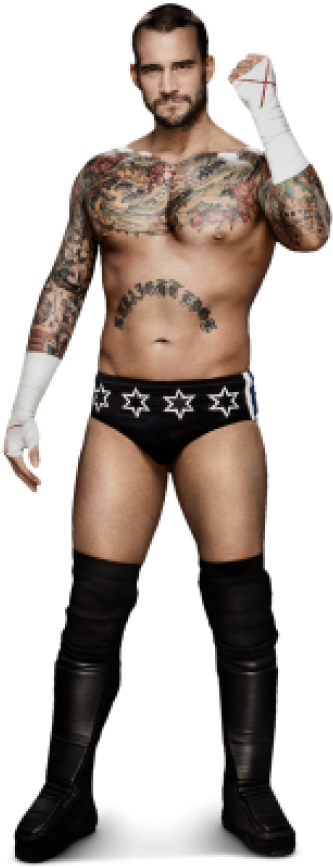 Image Cm Punk - Wwe Cm Punk Png (400x910), Png Download