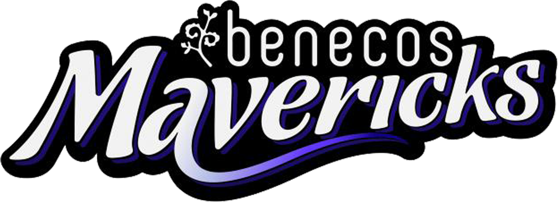 Mavericks Netball (1952x708), Png Download