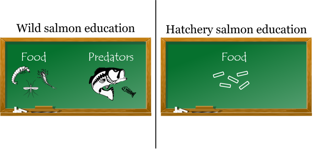 Education Pic - Education (1000x475), Png Download