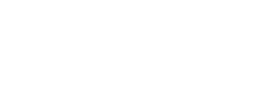 Bird Logo 900 - Logo (900x371), Png Download