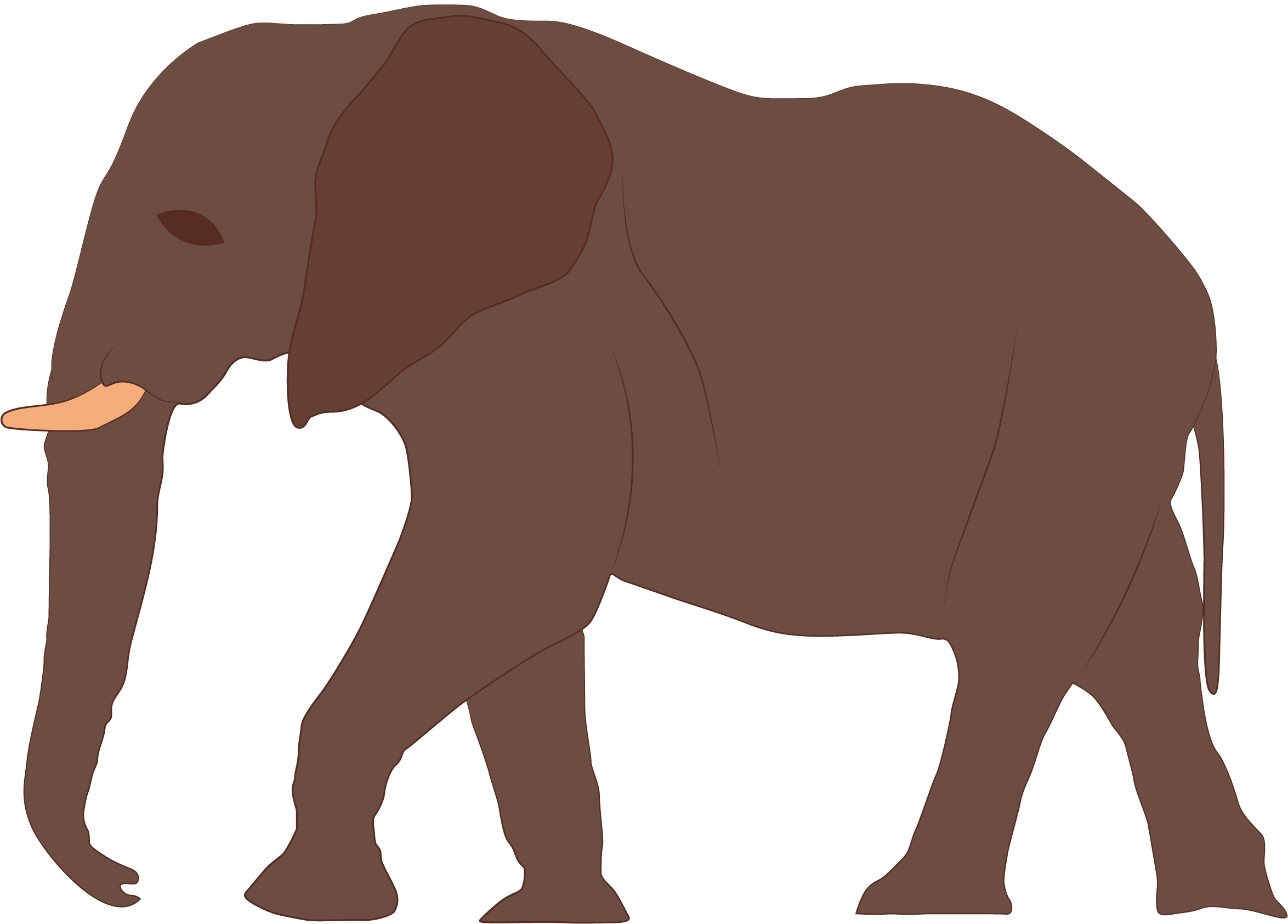 7 Ft - Indian Elephant (2388x1769), Png Download