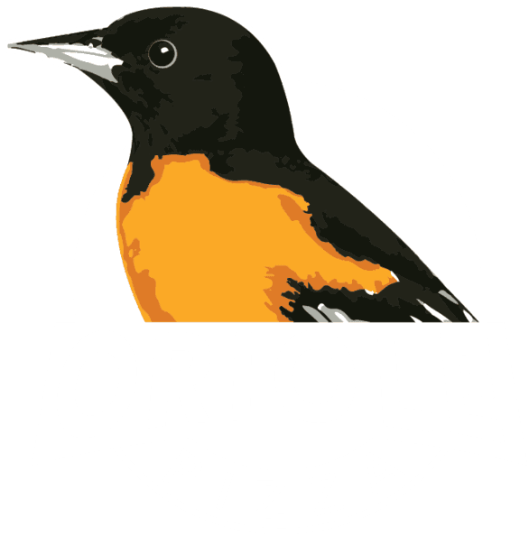Oriole Pizza (640x640), Png Download