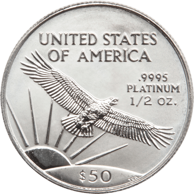 American Eagle Back - Holography (690x690), Png Download