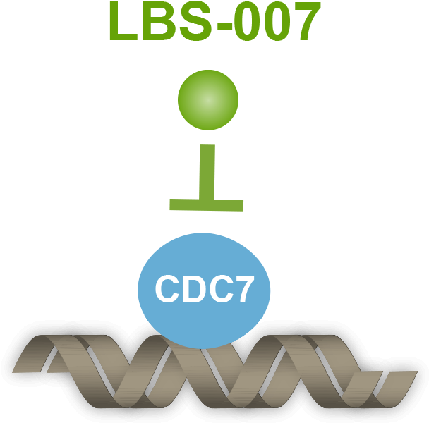 Inhibits Cdc7's Role In Dna Repilcation - Selbsthilfegruppe (700x656), Png Download