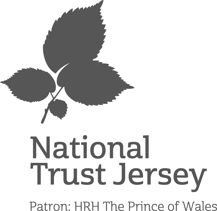 Ntj Logo Patron Grey - New Jersey Section, American Water Works Association (720x701), Png Download
