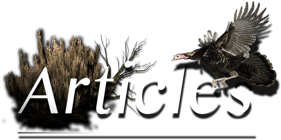 Web Articles Page (1000x703), Png Download