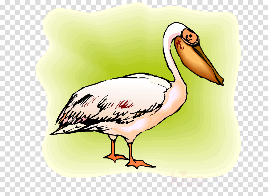Beak Clipart Stork Water Bird - Black & White Chequered Flag Self Adhesive Decorative (900x660), Png Download