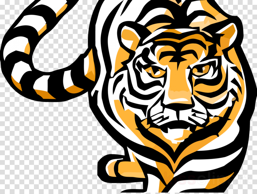 Laverne Tigers Clipart Laverne Tiger Chapel Hill High - Bengal Tiger Clipart (900x680), Png Download