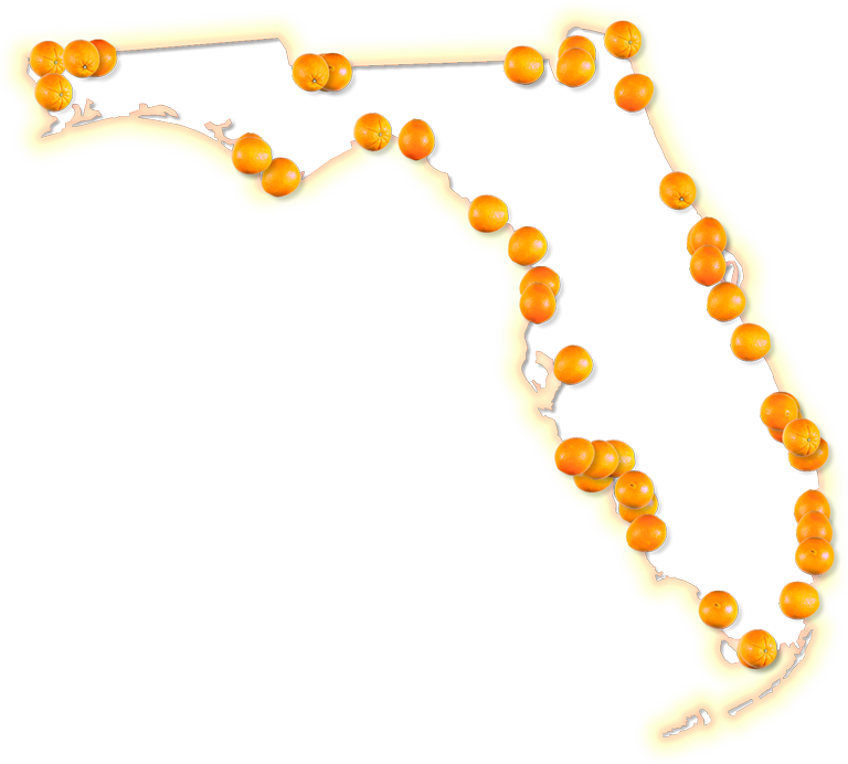 Png Florida Banner Transparent Stock (768x692), Png Download