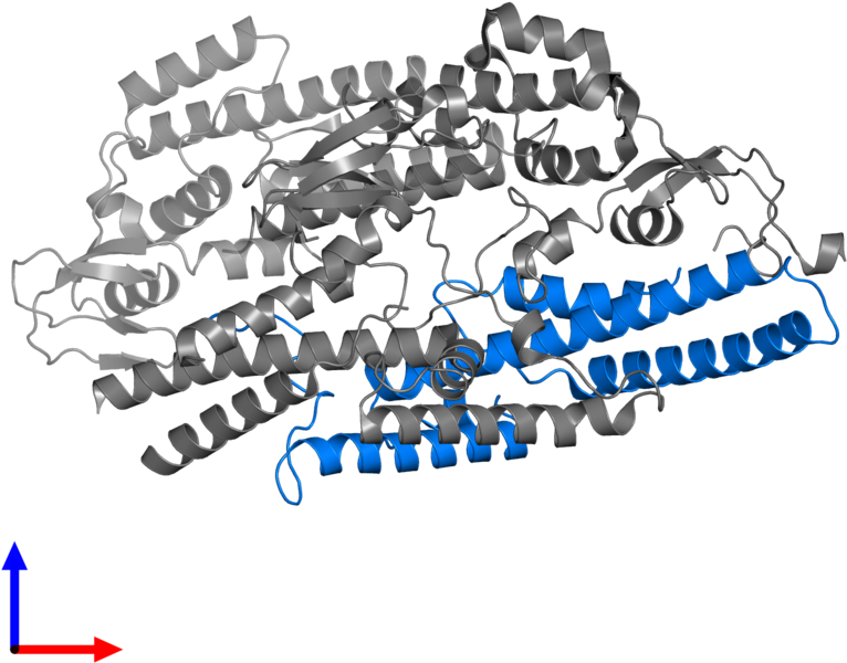 <div Class='caption-body'>pdb Entry 2q9q Contains 1 - Saw Chain (800x800), Png Download