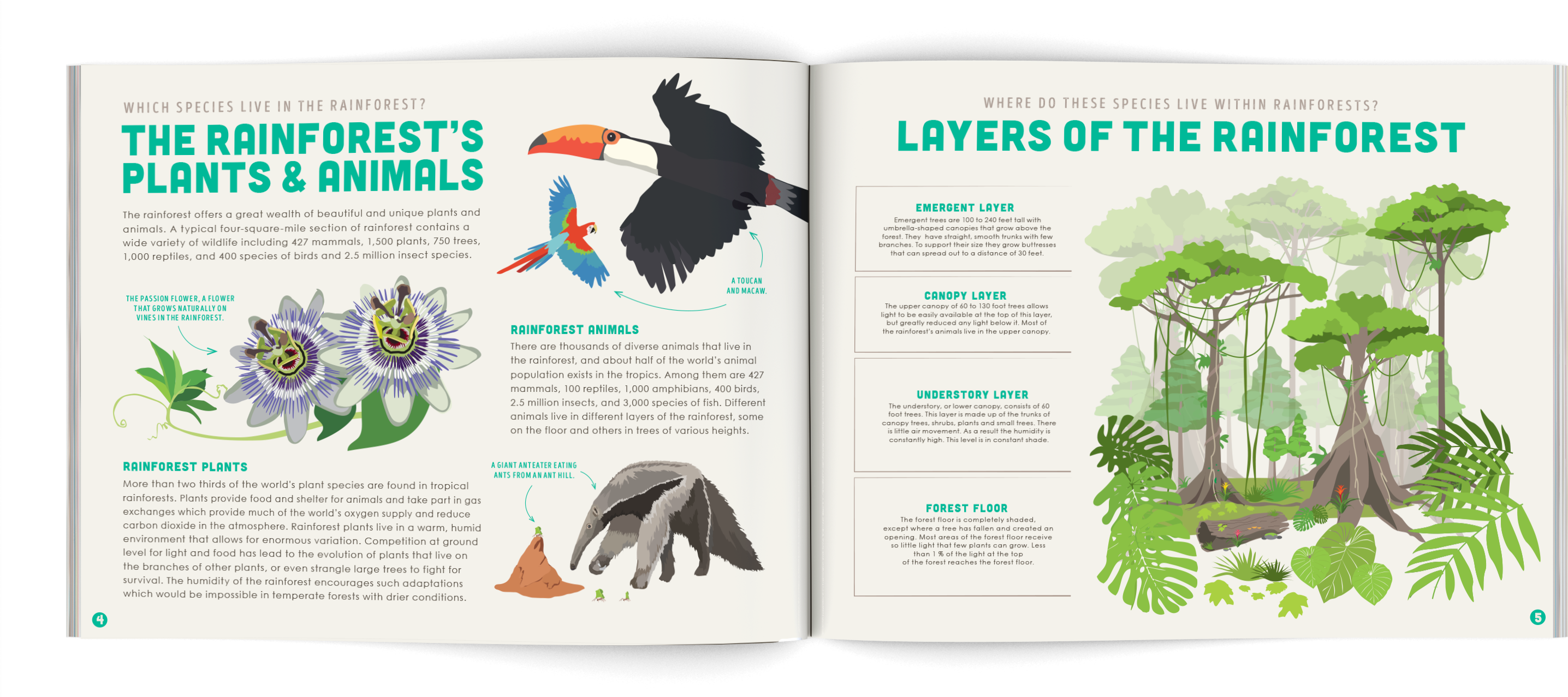 Save The Rainforest Conservation - Tropical Rainforest (3000x1276), Png Download