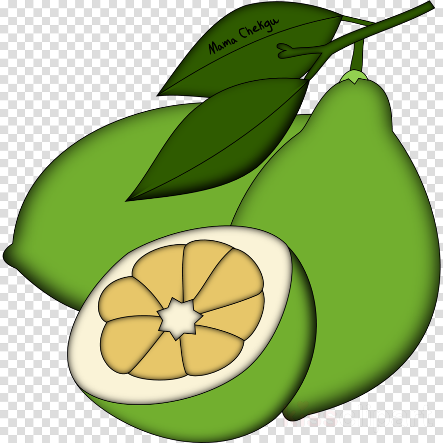 Leaf Clipart Pear Squash Avocado (900x900), Png Download