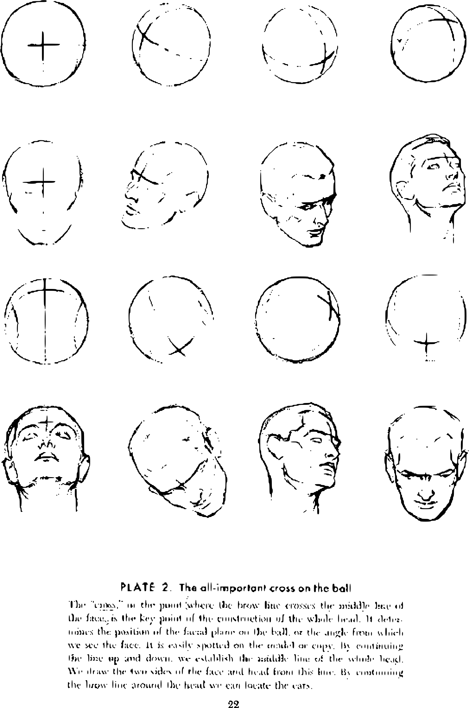 This Free Icons Png Design Of Andrew Loomis Drawing (1518x2291), Png Download