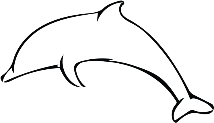Banner Simple Dolphin Outline Animalcarecollege Info - Dolphin Outline Black And White (800x450), Png Download