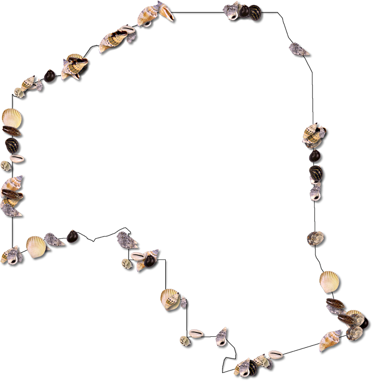 Suitable For The Following Themes - Necklace (747x768), Png Download