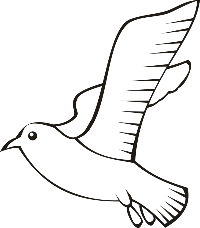 Feather Bird Beak Wing Flight - Outline Bird Png (657x750), Png Download