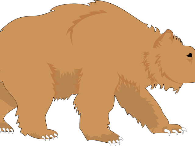 Mammal Clipart Happy Bear - Wild Bear Mountain Ecology Center (640x480), Png Download