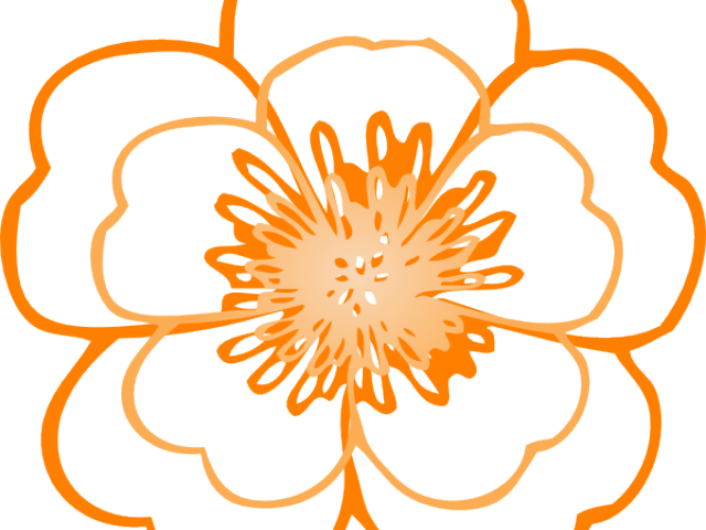 Orange Flower Clipart (640x480), Png Download