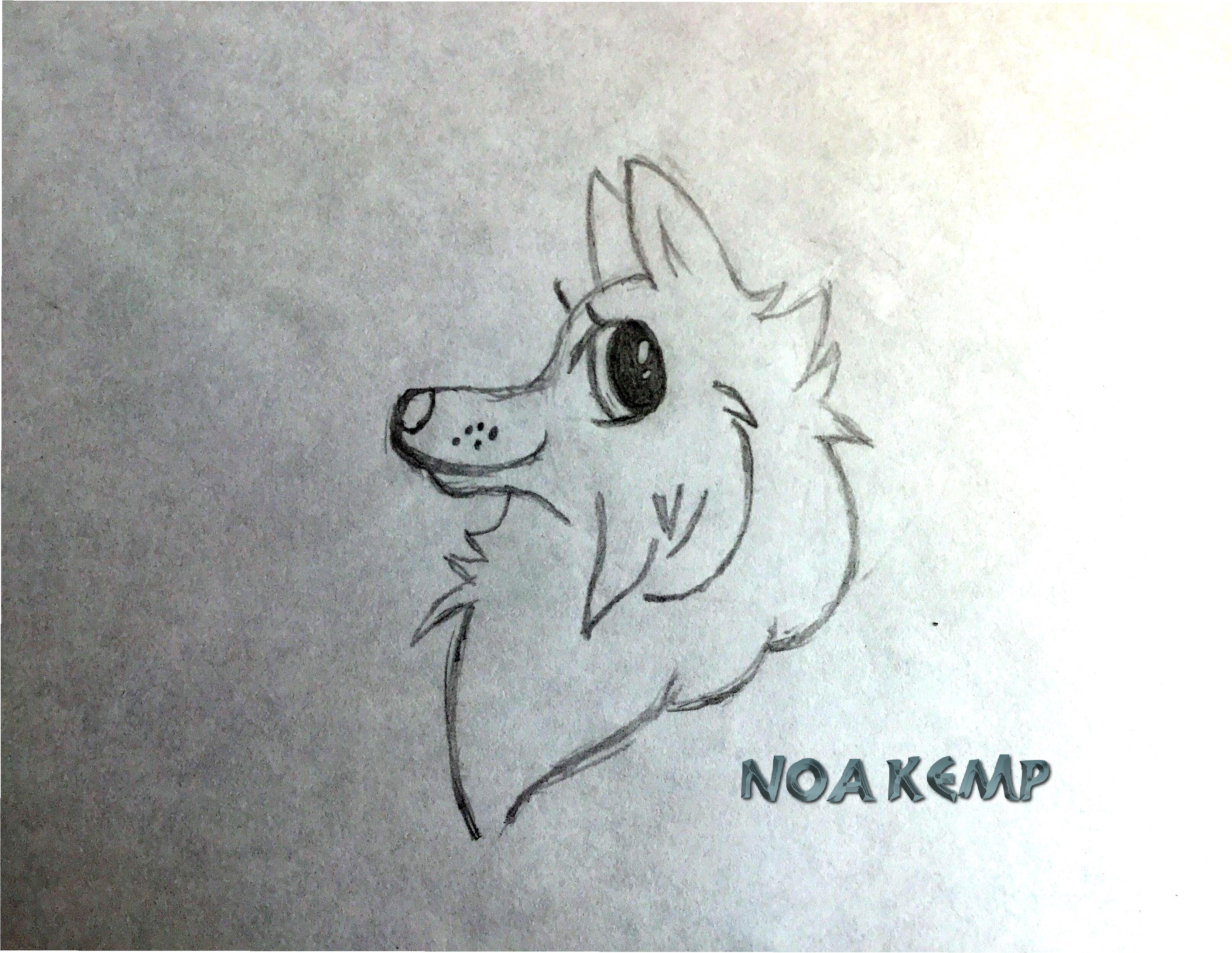 Mindful Drawing Wolf Picture Library Stock - Wolf (4463x3263), Png Download