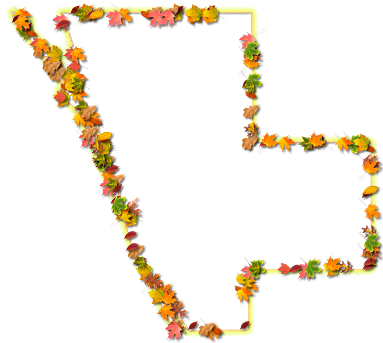 A Yellow And Orange Outline Map Of Sarasota With Fall - Floral Design (768x689), Png Download