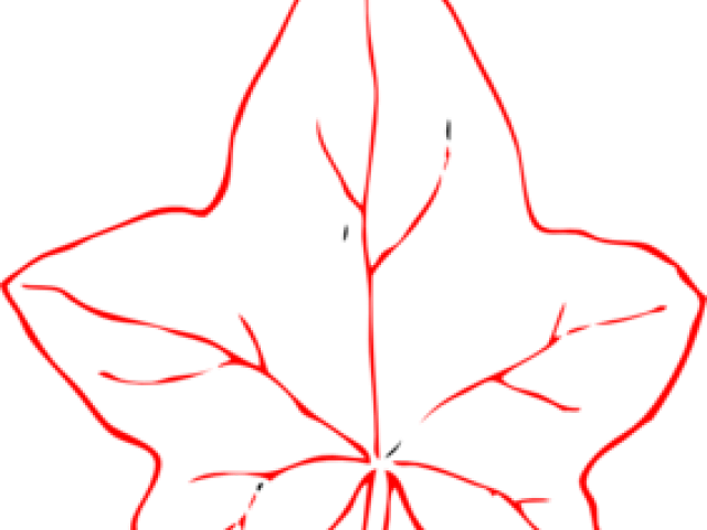 Autumn Leaf Outline - Autumn Leaf Image Clip Art Black And White (640x480), Png Download