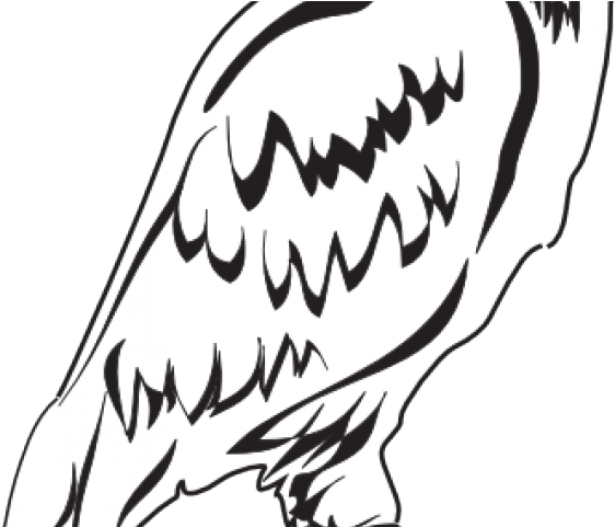 Eagle Outline Cliparts - Clip Art (640x480), Png Download