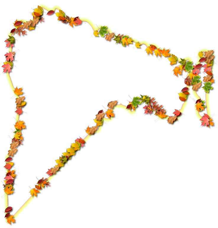 A Yellow And Orange Outline Map Of Nassau With Fall - Illustration (737x768), Png Download