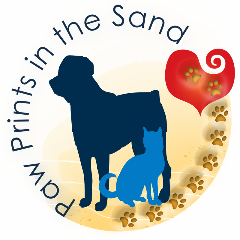 Announces Murray S Purpose A New Progr - Portable Network Graphics (800x800), Png Download