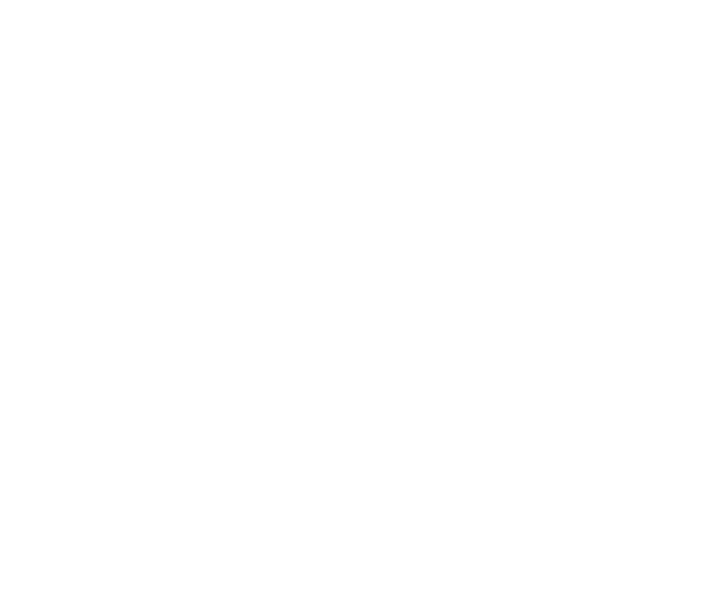 Flying Pig Silhouette At Getdrawings - Chinese New Year (1024x854), Png Download