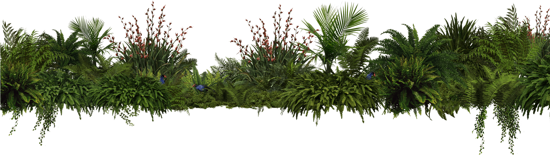 "our Guide's Knowledge Of Her People And Stories Made (1920x621), Png Download