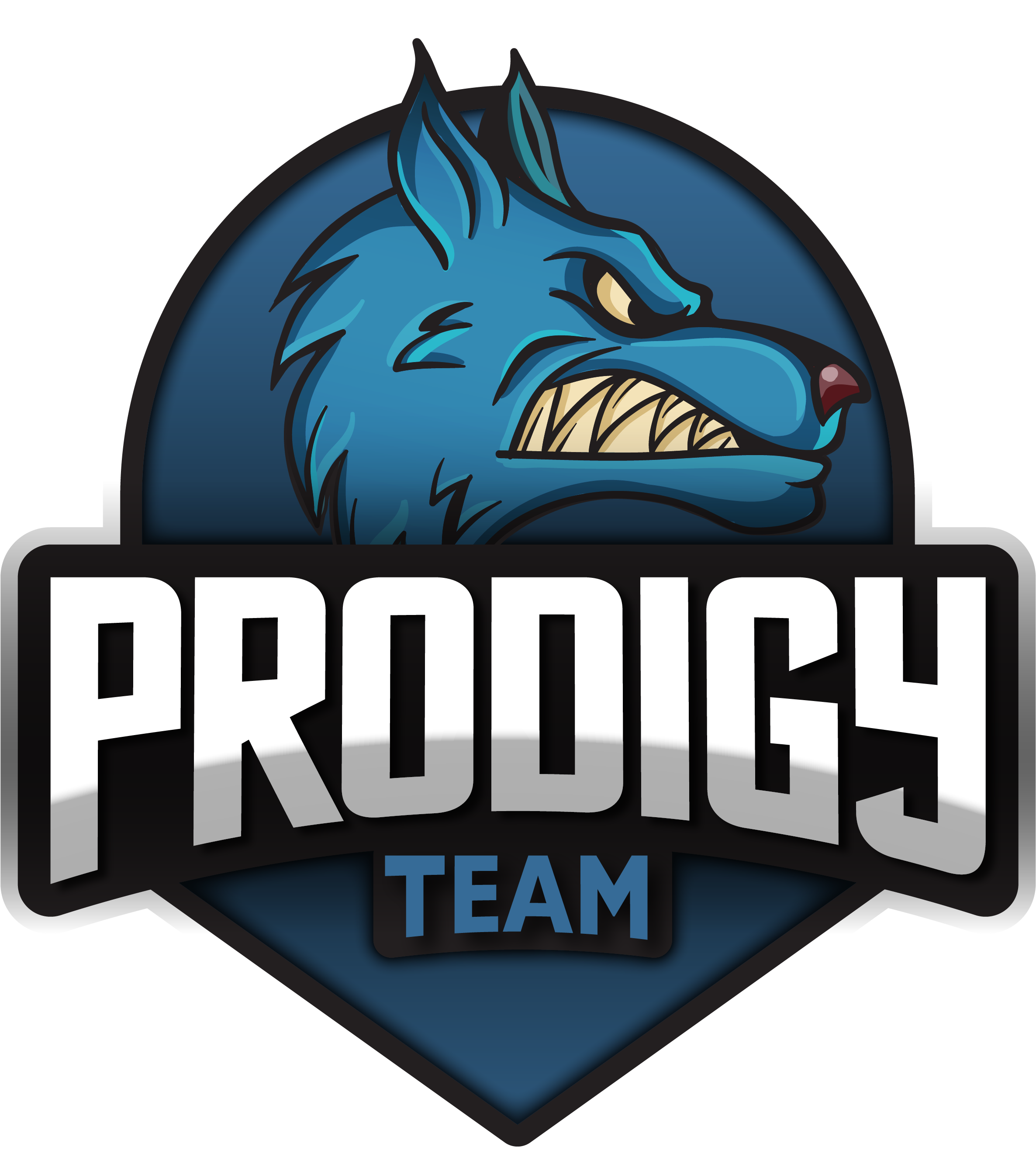 Team Prodigy - Batman (3333x3333), Png Download