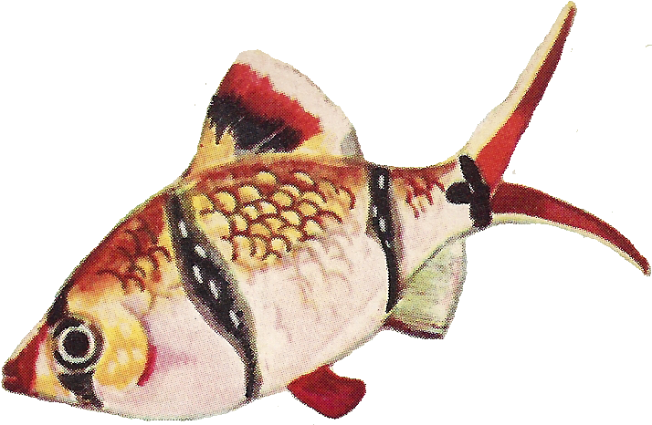 Another Vintage Fish Png Image For You From Leaping - Fish Vintage Png (734x480), Png Download
