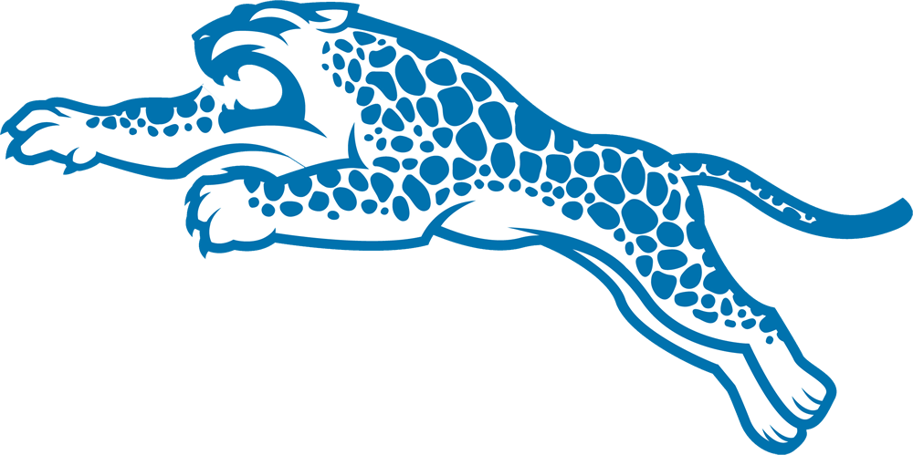 Blue Springs South High School - Blue Springs South Jaguar (1000x499), Png Download