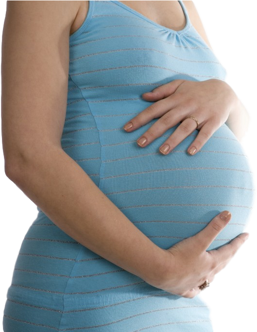Pocket Guide For Student Midwives (561x709), Png Download