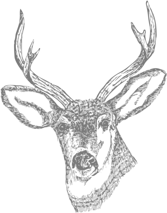 Antler Clipart Transparent Tumblr - Deer Head Tumblr Png (987x800), Png Download