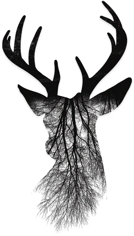 Backplate 3pb0100126l C055 V=1511158472 - 麋鹿 手 機 殼 (2000x2000), Png Download