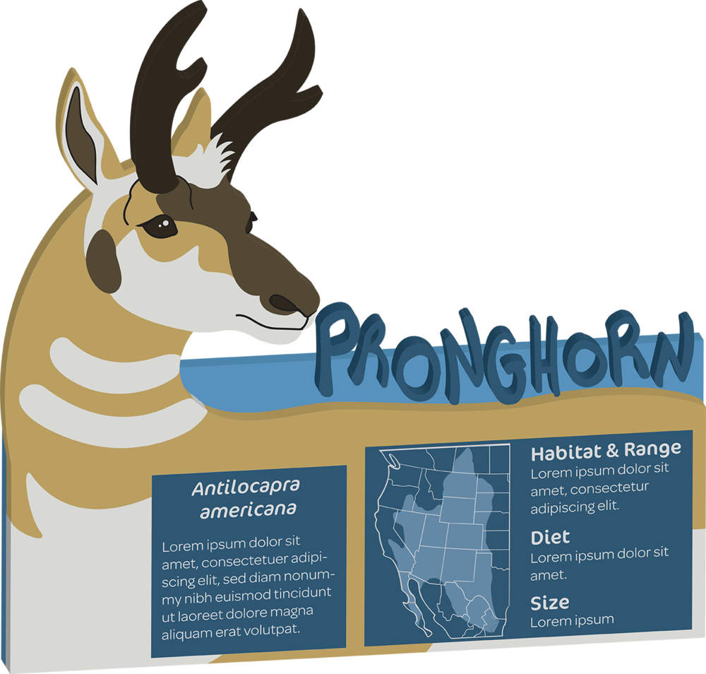 Pronghorn Final 3d 72 (1000x954), Png Download