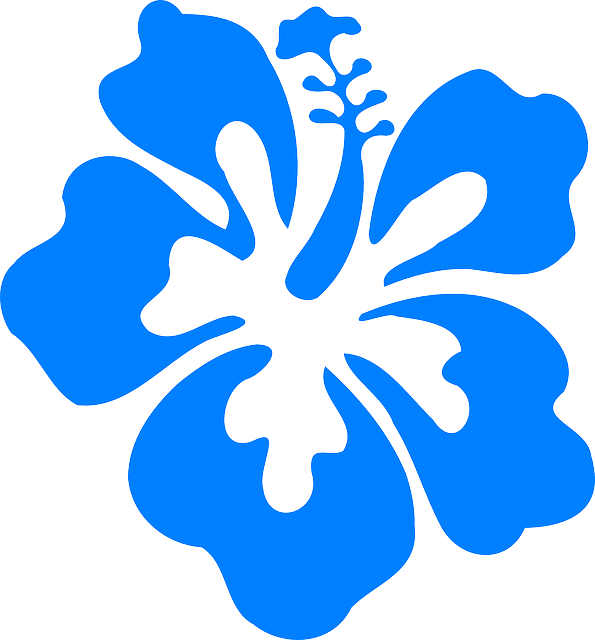 Free Image On Pixabay - Hibiscus Clip Art (595x640), Png Download
