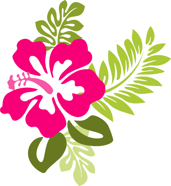 Very Best Clipart Flower Free Hibiscus Clipart Collection - Hibiscus Flower Clipart Png (552x599), Png Download