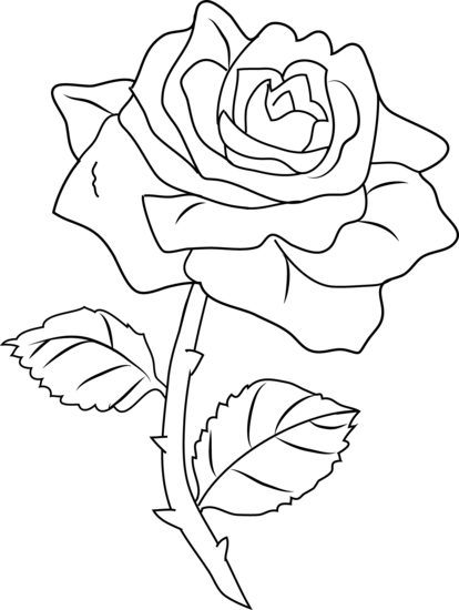 Pretty Rose Coloring Page - Roses Outlines (414x550), Png Download