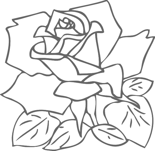 How To Set Use Outline Rose Clipart (600x584), Png Download