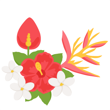 Clipart Tropical Flowers - Tropical Flowers Clipart Png (432x432), Png Download