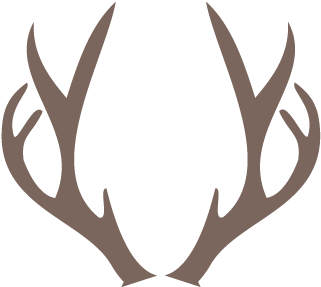Deer Horn Png - Png Deer Antlers Png (360x360), Png Download