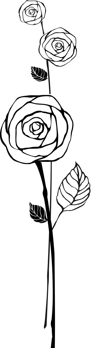 Roses Outline Flower Decal - Beach Rose (374x1421), Png Download