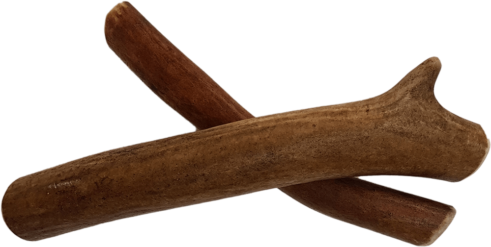 Antler (1000x750), Png Download