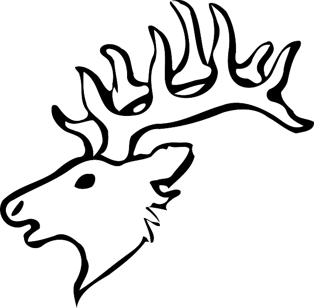 Reindeer, Head, Black And White, Horns, Animal, Mammal - Deer Drawing Face Easy (640x627), Png Download