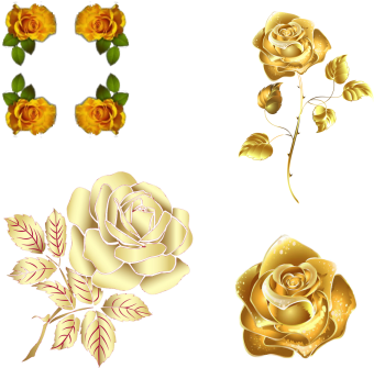Golden Roses, Gold, Roses, Gold Leaves Png And Psd - Iphone 6/6s Tough Case (360x360), Png Download